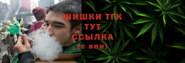 гидра Карталы