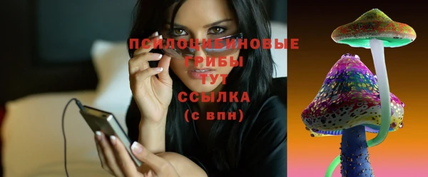 мдпв Карпинск