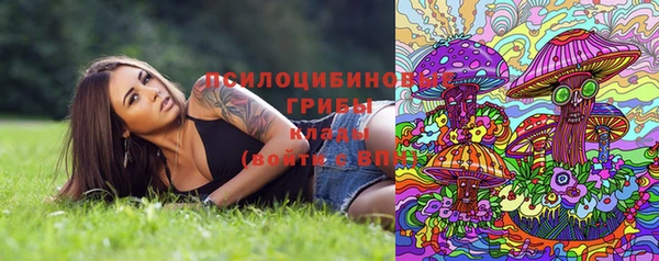 мдпв Карпинск