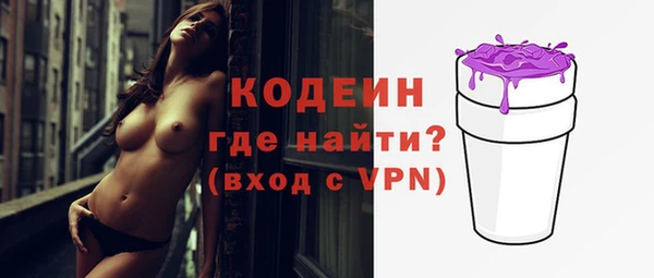 мдпв Карпинск