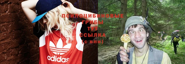 гидра Карталы