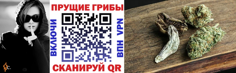 Галлюциногенные грибы Cubensis  Купить  Лысьва 
